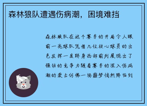 森林狼队遭遇伤病潮，困境难挡